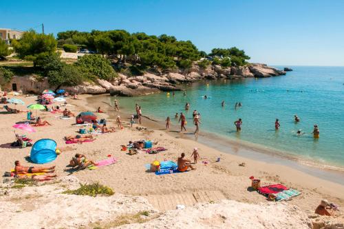 Résidence Goélia Cap Bleu - image 7