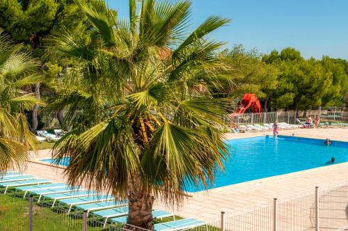 Résidence Goélia Cap Bleu - image 12