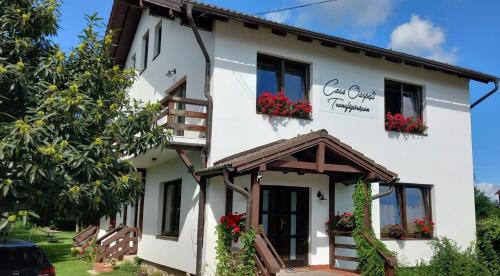 Casa Oaspeti Transfagarasan 3