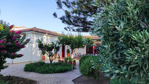 Mediterranean house with beautiful garden