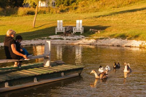 Lake House Bebić