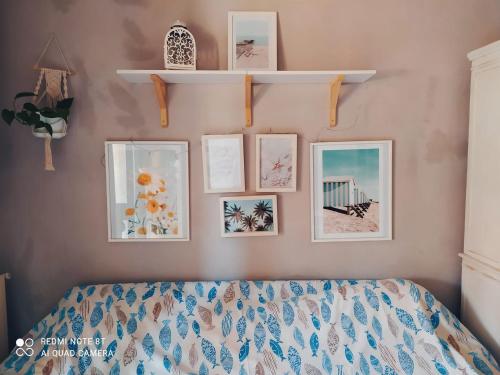  lety.home appartamento incantevole vicino al mare in 57016 Rosignano Marittimo