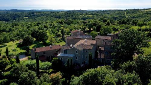 L'abbraccio della quercia - Apartment - Momjan