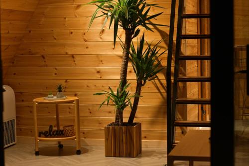 Kompleksi Turistik DEA