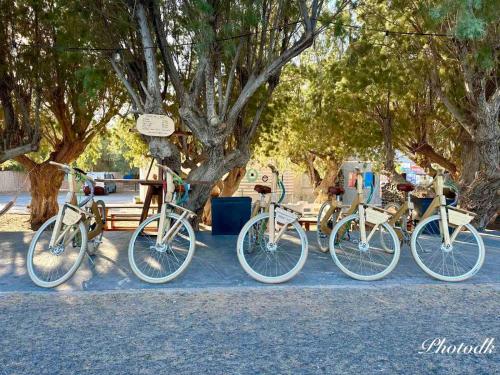 Santa Barbara - image 8