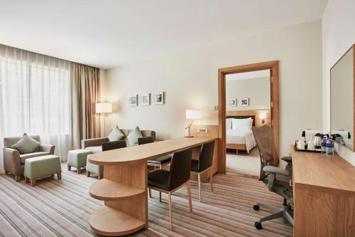 Hilton Garden Inn Dubai, Mall Avenue, Dubaj (fotografie 9)