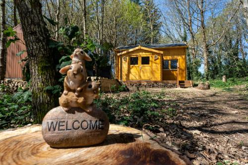 Cabane insolite avec escape game