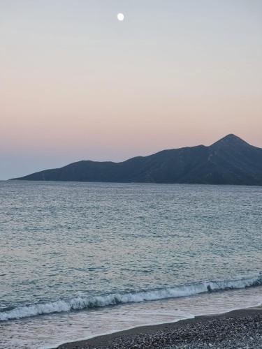 Thassa Beach Apartment No1 (with mountain view)