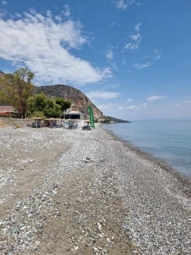 Thassa Beach Apartment No1 (with mountain view)