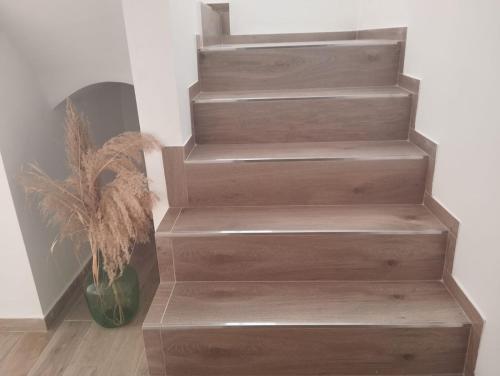 CAN’SELMA 2 in Chella