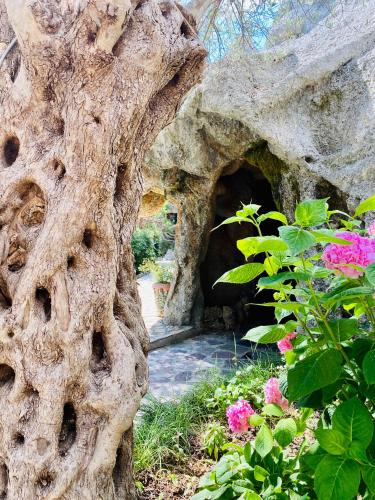 Kompleksi Turistik DEA