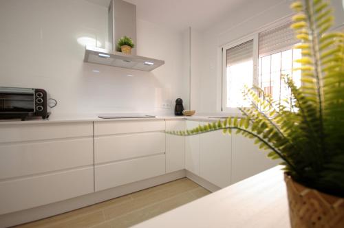 135 Livingtarifa Luna - image 4