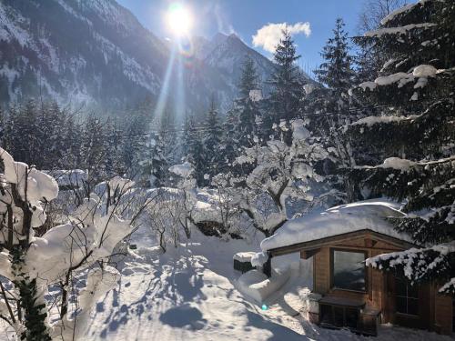 Vedere, Appartement Ginzling Haus Eder in Finkenberg