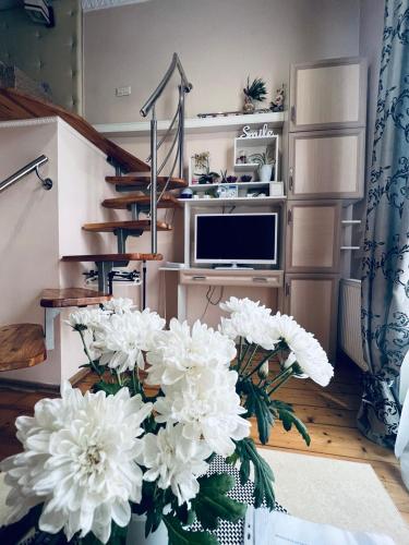 Apartment in the city center mini, Ivano-Frankivsk (fotografie 3)