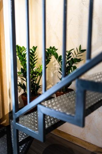  La Scunnuta Apartment in Pulsano