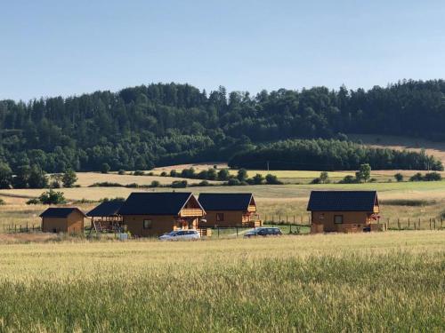 Sielanka pod Czarna Góra (Sielanka pod Czarna Gora) in Dlugopole Zdroj