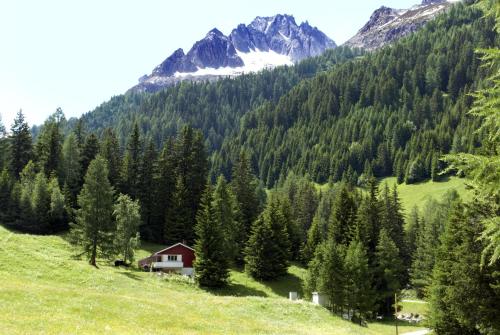 CHALET dei FIORI b&b - image 9