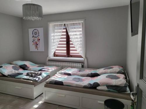Pokój z kuchnią i łazienką Żyrardów, Żyrardów (foto 2)