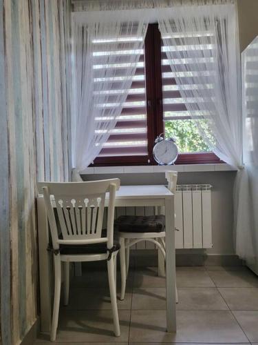 Pokój z kuchnią i łazienką Żyrardów, Żyrardów (foto 6)