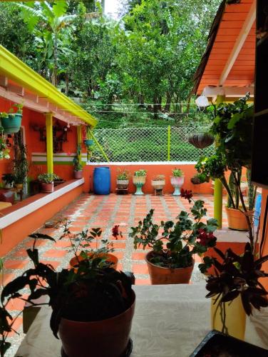 Kert, Casa Mamá Chelita (Casa Mama Chelita) in Amaga