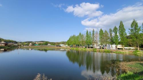 Damyang Flower & Hanok