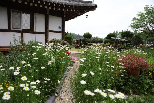 Damyang Flower & Hanok