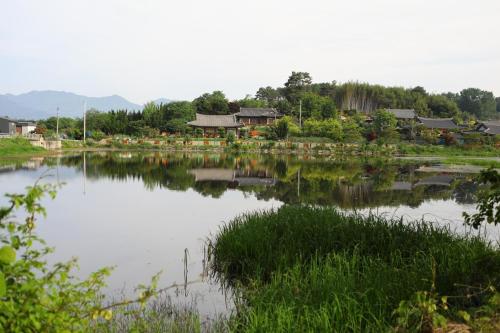 Damyang Flower & Hanok