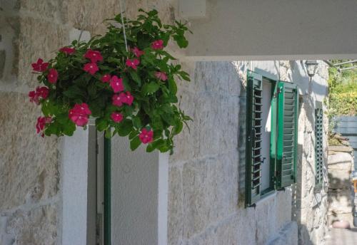 Stone house with pool Ljubica