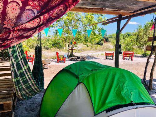 . Reggae Camping on Land of Promise