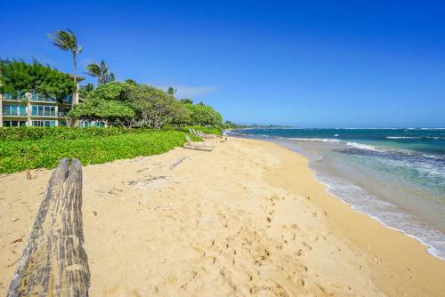 Condos in Waipouli Beach Resort