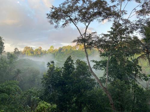 Hidden Side of Ubud