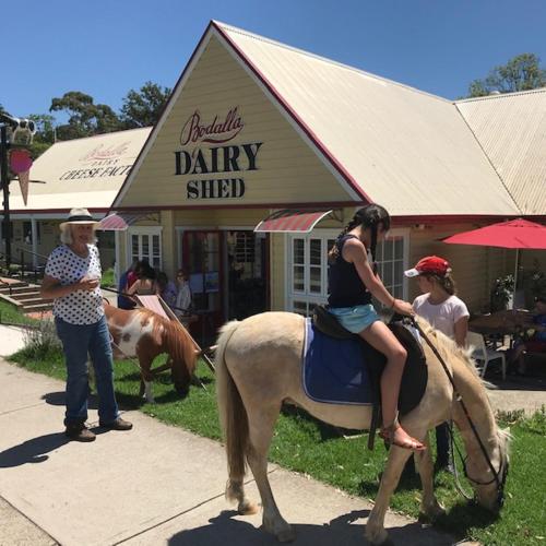 Bodalla Dairy Shed Guest Rooms