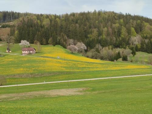 Ferienhaus Schöller
