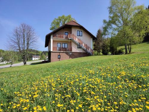 Ferienhaus Schöller - Apartment - Schönbach