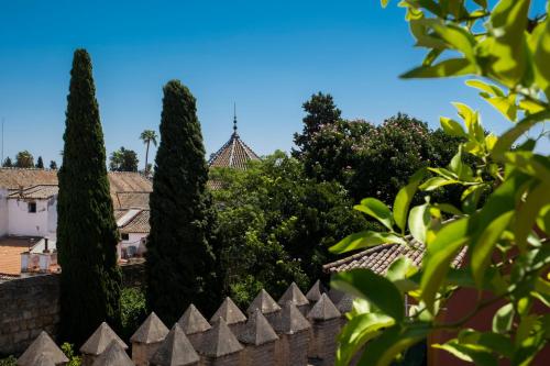 Apartamentos Santo Tomas - image 10