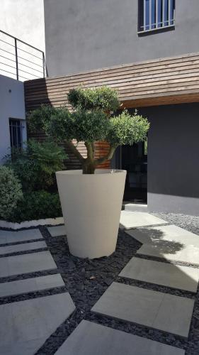 Entrance, VILLA MONTPELLIER in Prunet