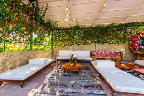 Atracciones, TOP Flamenco Beach and Resort El Quseir in El Quseir