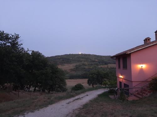  L´Albero degli Struzzi in Penna in Teverina