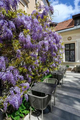Maison Bistro & Hotel - image 13
