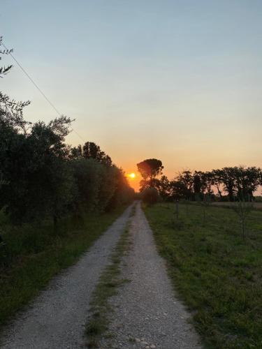 Ca Baruffa B&B, Santarcangelo di Romagna (fotografie 5)