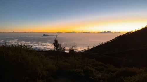 Ijen Transito 2 HOMESTAY near Watu Dodol