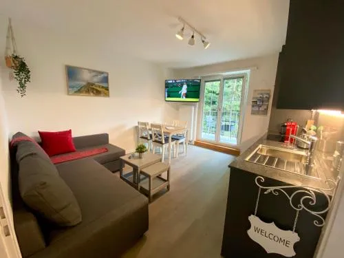Beautiful flat with nice lake and mountain views in Weggis, Schweiz