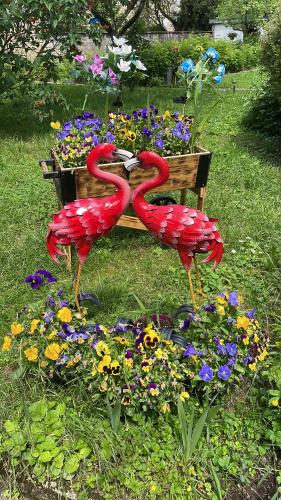 Chambre d’hôte proche gare et centre 1 (Chambre d’hote proche gare et centre 1) in Besancon