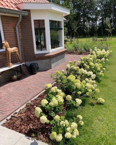 Bed & Breakfast Hoeve Happiness