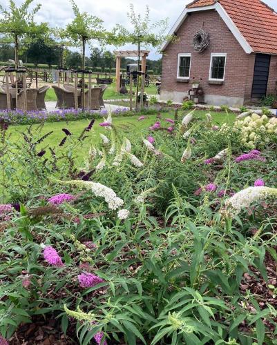 Bed & Breakfast Hoeve Happiness