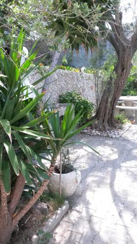 Apartments Padovan - image 10