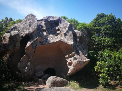 Maison en Corse Monacia d'Aullène