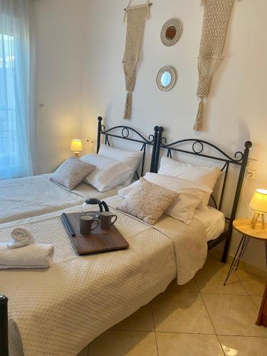 Casa Amalia 5