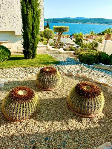 Casa de oro Aparthotel - image 5