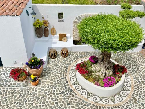 Casa de oro Aparthotel - image 9